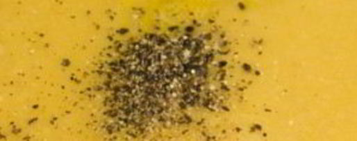 Шаг 20: французского горохового супа