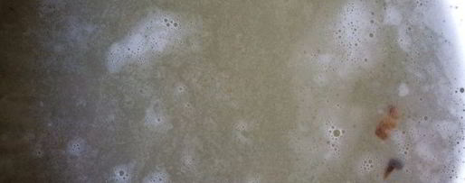 Шаг 1: наваристого горохового супа с уткой в хлебном горшочке