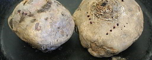 Шаг 2: холодника из свеклы на кефире