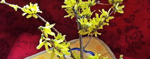 Шаг 12: холодника на кефире с маринованной свеклой