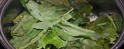 Шаг 5: холодного супа ботвинья