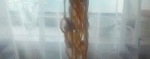 Шаг 24: лагмана с тянутой лапшой