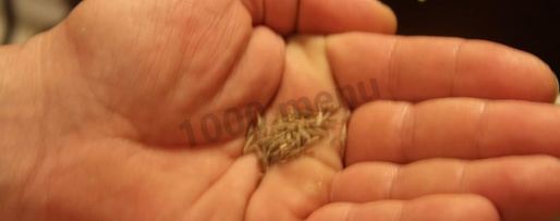 Шаг 10: подливы для лагмана