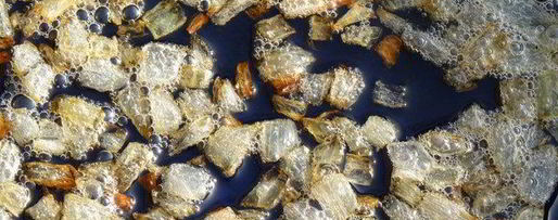 Шаг 4: легкого супа икринка