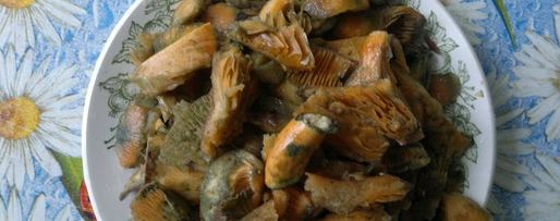 Шаг 5: молочного супа с рыжиками