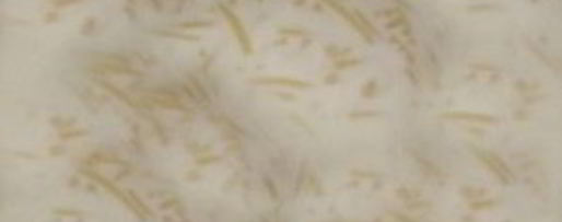 Шаг 2: молочного супа с вермишелью для детей