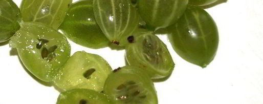 Шаг 1: фруктово-ягодной окрошка