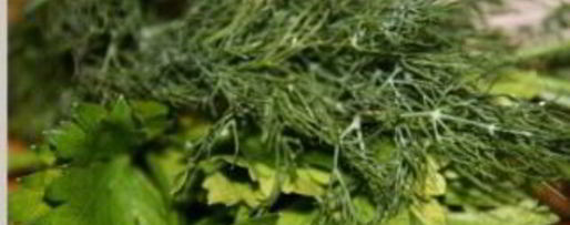 Шаг 1: окрошки с квасом и кефиром