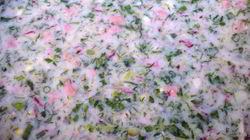 Рецепт Окрошки туркменской