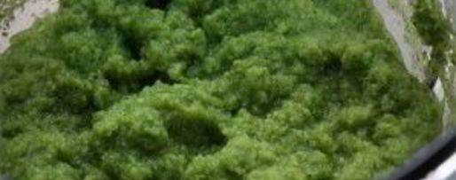 Шаг 8: супа овощной с брокколи