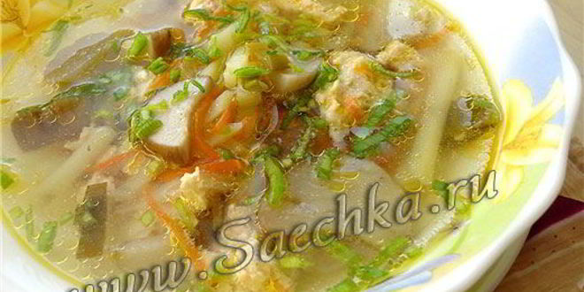 Рецепт похлебки грибной на мясном бульоне