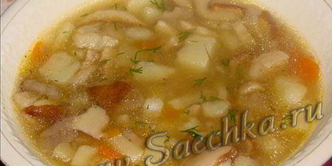 Рецепт похлебки из белых грибов