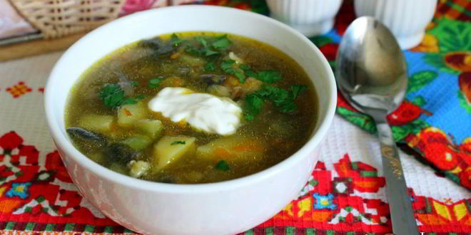 Рецепт рассольника с лесными грибами в мультиварке