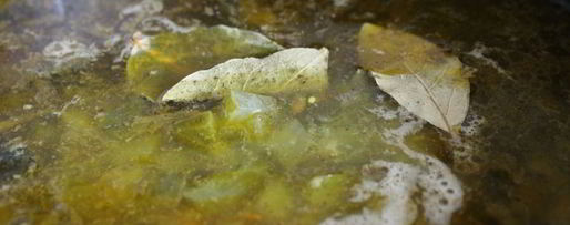 Шаг 7: рассольника с лесными грибами в мультиварке