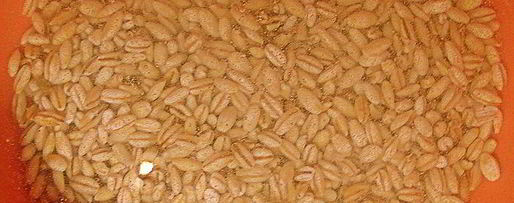 Шаг 8: рассольника с телятиной и сушеными грибами