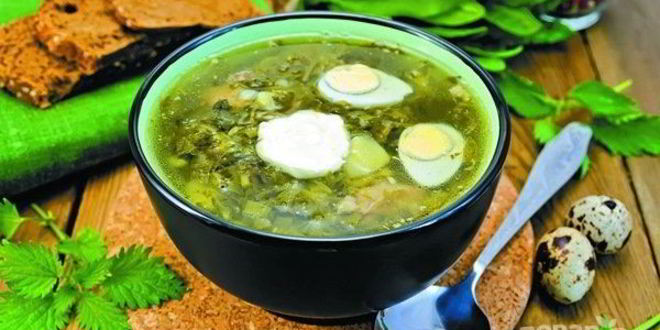 Рецепт щей из крапивы с яйцом