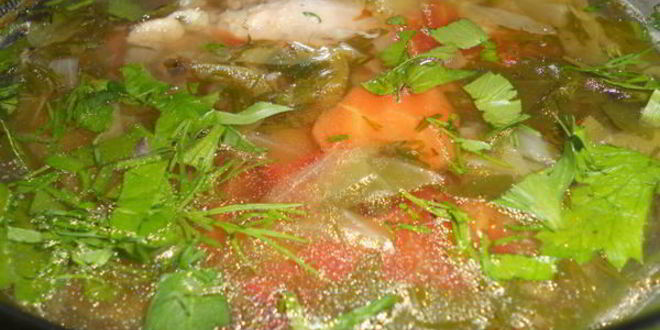 Рецепт щей из молодой капусты летние