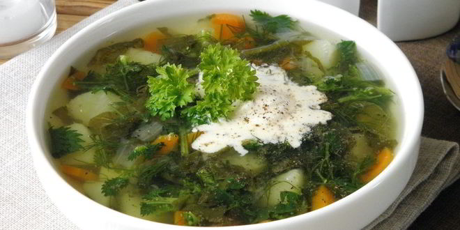 Рецепт щей из щавеля и крапивы