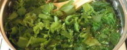 Шаг 4: щей из щавеля и крапивы