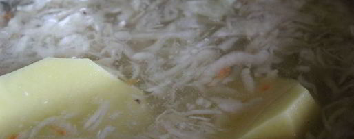 Шаг 1: щей из свежей и квашеной капусты на курином бульоне