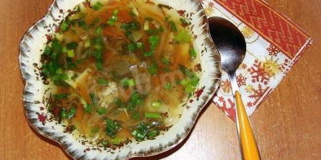 Рецепт щей из свежей капусты с мясом говядины