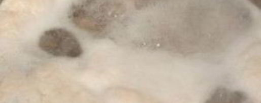 Шаг 1: щей с фрикадельками