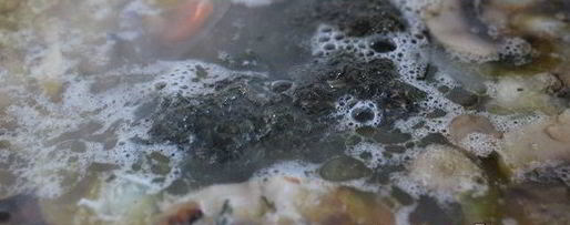 Шаг 7: щей со шпинатом и шампиньонами