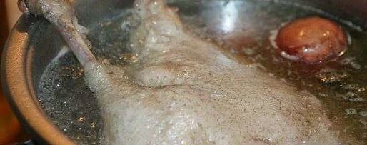 Шаг 15: щей суточных из квашенной капусты