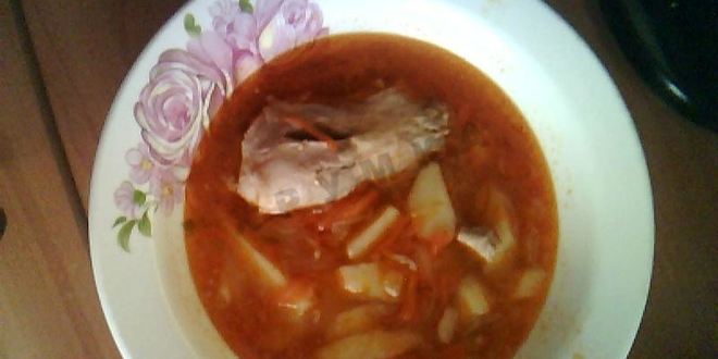 Рецепт супа щи из квашеной капусты с мясом