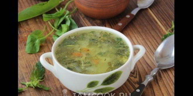 Рецепт зеленых щей с крапивой и щавелем