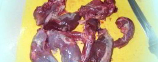 Шаг 1: шурпы из дичи