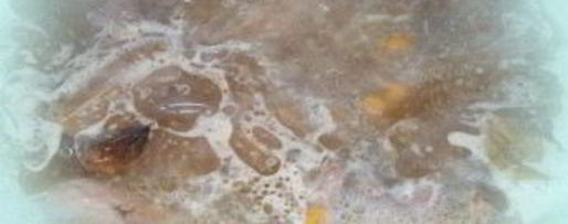 Шаг 8: шурпы из дичи