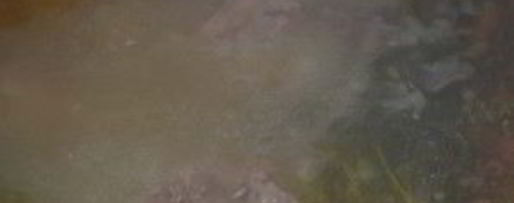 Шаг 5: шурпы из гуся