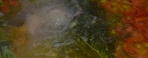 Шаг 6: шурпы из гуся