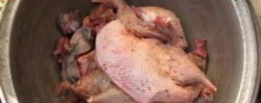 Шаг 1: шурпы из утки