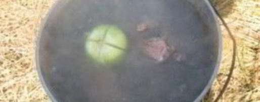 Шаг 2: шурпы из утки