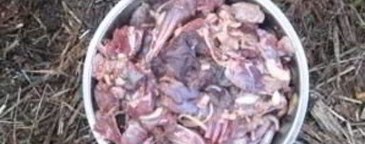 Шаг 4: шурпы из зайца