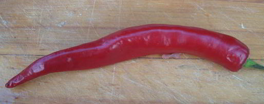 Шаг 8: узбекской шурпы из баранины