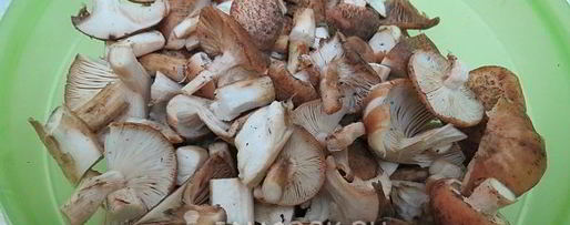 Шаг 2: постной солянки с грибами и капустой