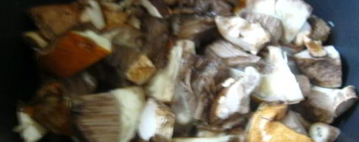 Шаг 1: солянки с грибами