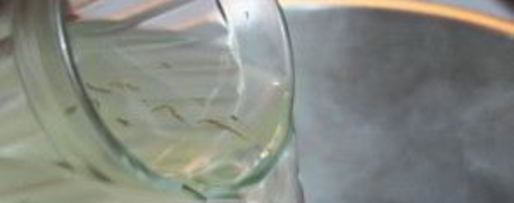 Шаг 12: солянки с креветками