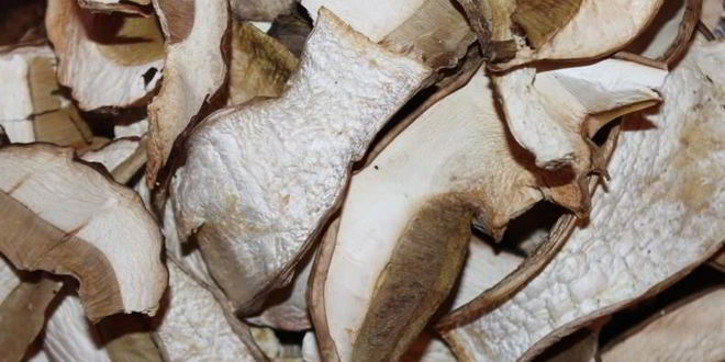 Рецепт супа из сухих белых грибов