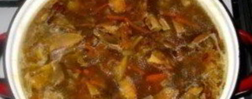 Шаг 11: супа из сухих белых грибов