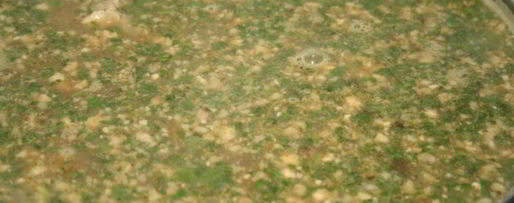 Шаг 8: супа харчо с грецкими орехами