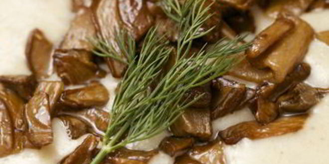 Рецепт супа-пюре из перловки с грибами