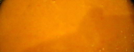 Шаг 2: томатного супа-пюре с костным мозгом