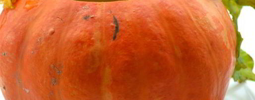 Шаг 6: тыквенного супа-пюре с карамелизованной свеклой и золотистым луком