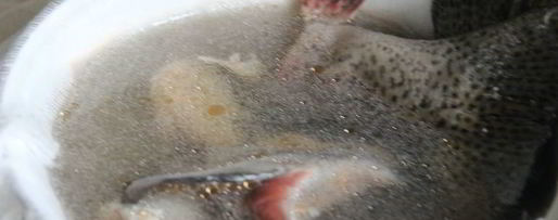 Шаг 1: супа с семгой и шпинатом