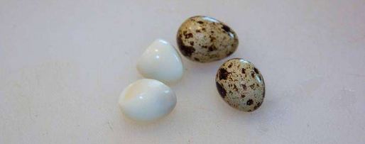 Шаг 15: свекольника холодного с ботвой