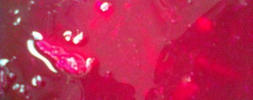 Шаг 5: свекольника с базиликом